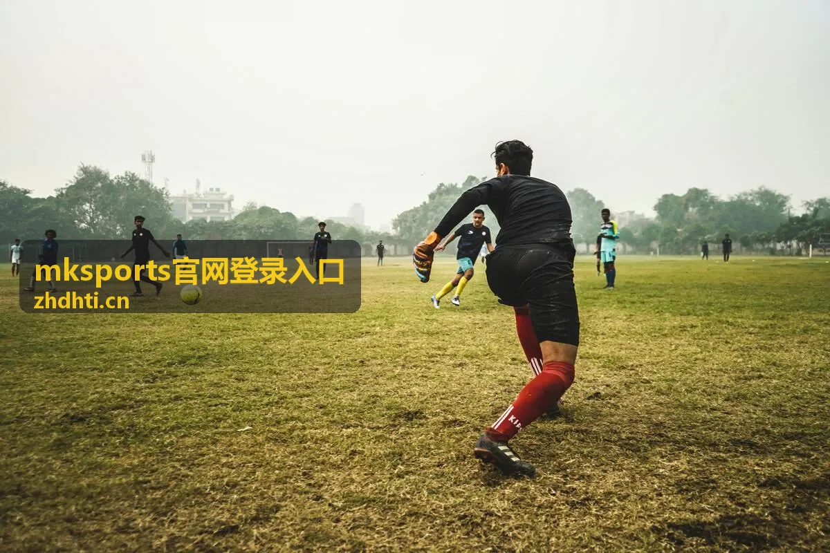 mksports官网登录入口 平台界面示意