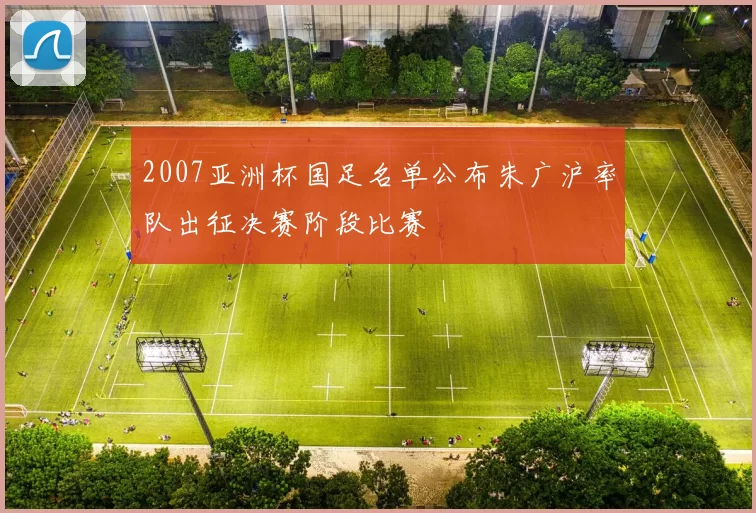 2007亚洲杯国足名单公布朱广沪率队出征决赛阶段比赛