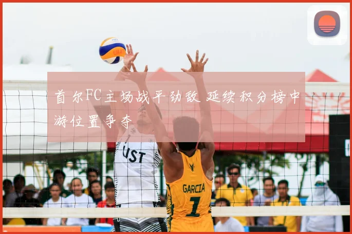 首尔FC主场战平劲敌 延续积分榜中游位置争夺