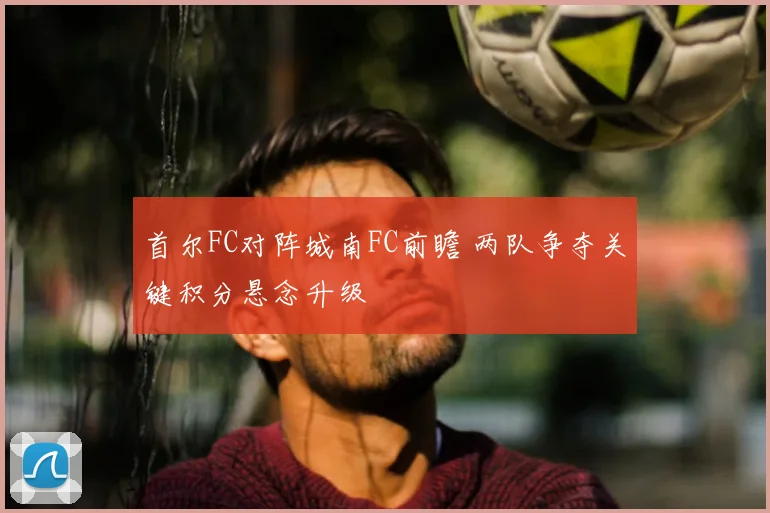 首尔FC对阵城南FC前瞻 两队争夺关键积分悬念升级