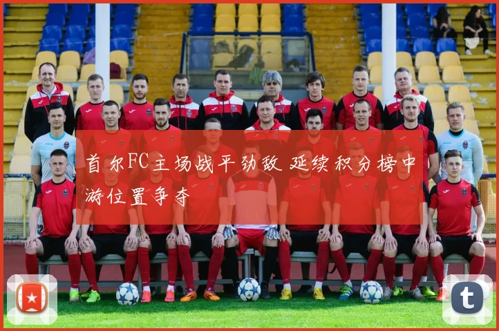 首尔FC主场战平劲敌 延续积分榜中游位置争夺