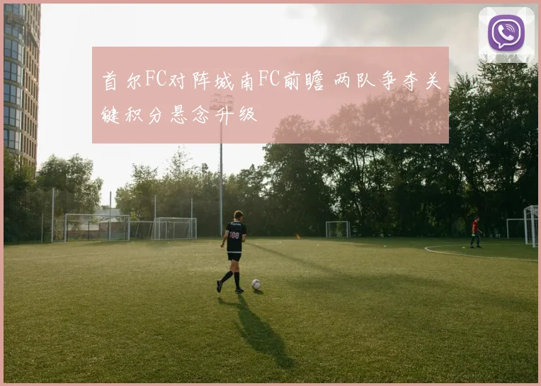 首尔FC对阵城南FC前瞻 两队争夺关键积分悬念升级