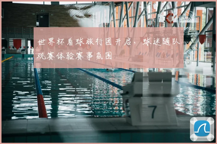世界杯看球旅行团开启,球迷随队观赛体验赛事氛围