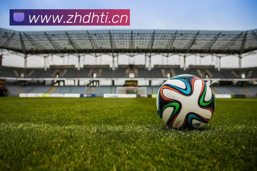 多媒体互动体验